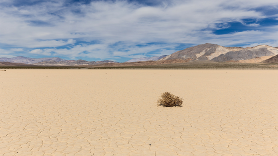 A desert with a tumbleweed illustrates that there are no people left on LinkedIn.